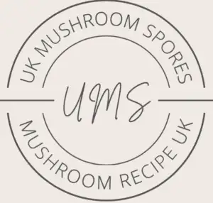 mushroom spores uk