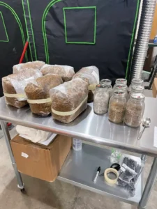 psychedelic mushroom chocolate bars