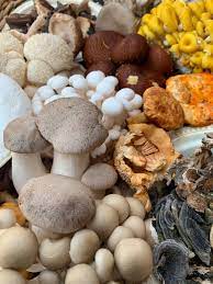 recipe for mushroom risotto
