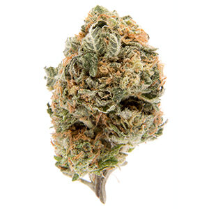 Blueberry Strain | Indica Dominant Strain