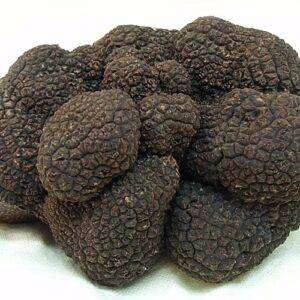 Fresh Black Summer Truffles (Out of Season)