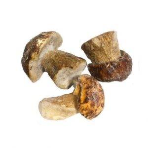 Small Whole Porcini mushroom