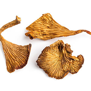 dried chanterelles mushrooms