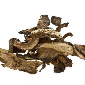 dried Morel Mushrooms