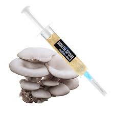 mushroom spores for sale