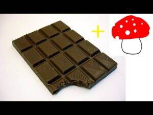 magic mushroom chocolate bar uk