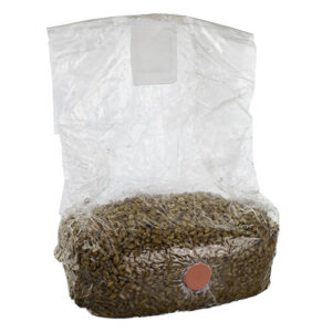 MushBag Grow Kit (10PACKS)